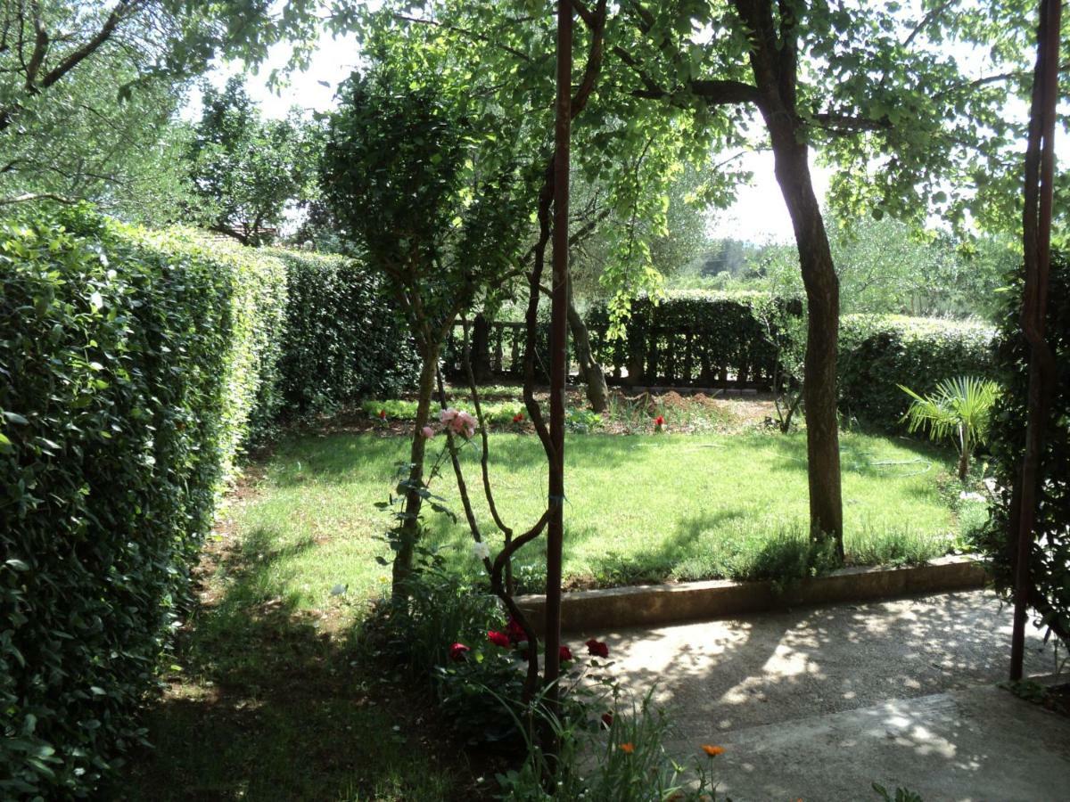 Apartment Martina Biograd Na Moru Exterior foto