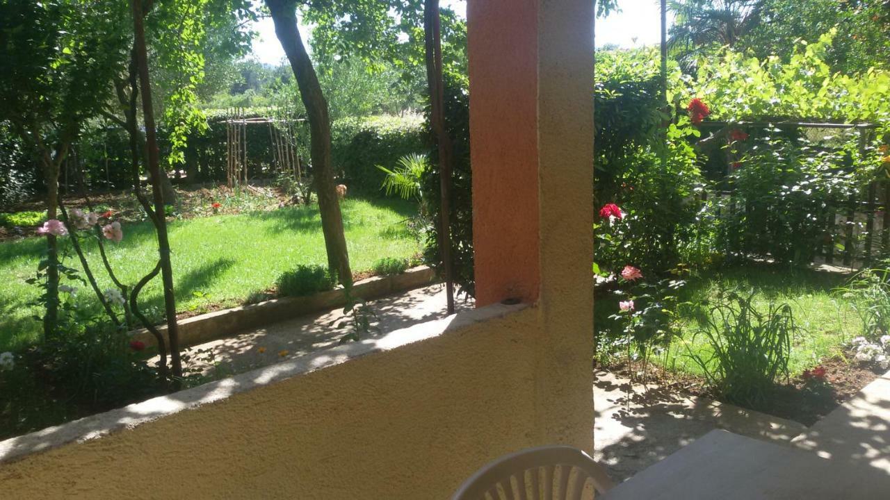 Apartment Martina Biograd Na Moru Exterior foto